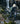S10BR-01_image_2