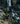USR-05_image_3